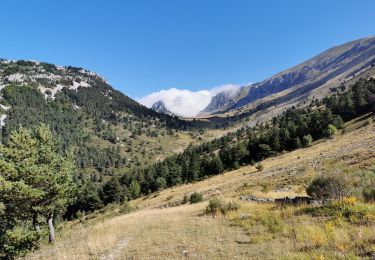 Percorso Marcia Glandage - Col de la Péyère (Grimone) - Photo