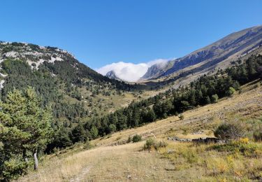 Randonnée Marche Glandage - Col de la Péyère (Grimone) - Photo