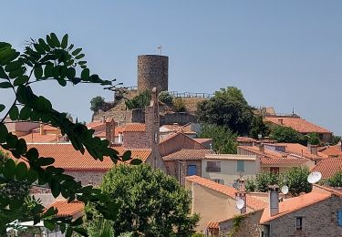 Tocht Stappen Laroque-des-Albères - 20210722 Laroque des Alberes - Photo