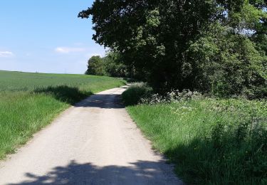 Randonnée Marche Saint-Ignat - LE VAL DE MORGE - Photo