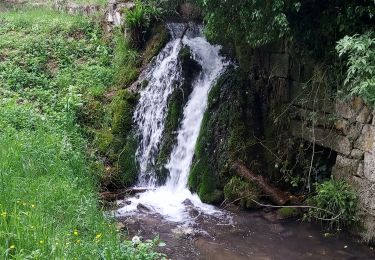Trail Walking Rousson - Rousson 250511 - Photo