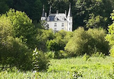 Randonnée Marche Villiers-le-Bâcle - Rigole de Saint Aubin - Photo