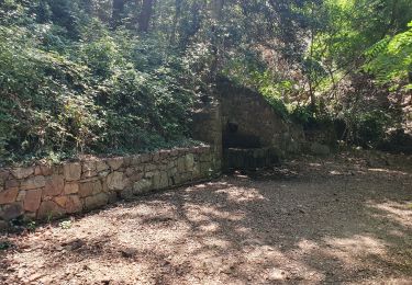 Tocht Stappen Saint-Raphaël - Chapelle /  grotte St Honorat - Photo