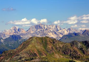 Tour Zu Fuß Castello-Molina di Fiemme - Sentiero dei Mangheneti - Photo