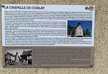 Trail Walking Sennecey-le-Grand - Riffey  le 05-06-2025 - Photo
