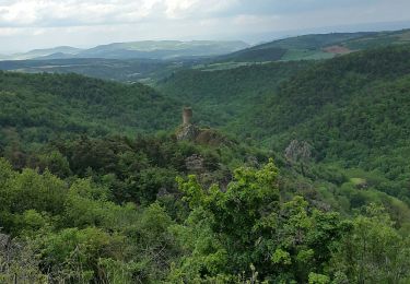 Trail Walking Grandeyrolles - ravin de quinsat - Photo