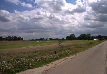 Tocht Te voet Someren - Keelvenroute - Photo