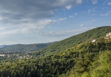 Tour Wandern Volvic - Volvic_Sources - Photo