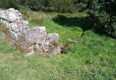 Trail Walking Plomodiern - 2021-09-22 MENEZ Home boucle  - Photo