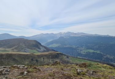 Excursión Senderismo Murat-le-Quaire - coux-tenon-banne-rochefees-labourboule - Photo