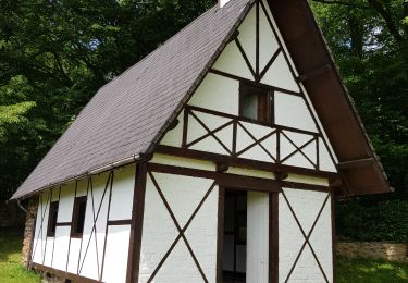 Tocht Stappen Jalhay - Dans le bois de Staneu - Photo