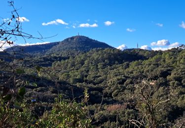 Trail Walking Tornac - Autour de Tornac - Photo