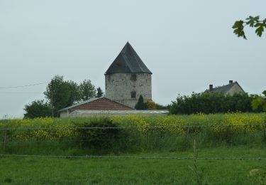 Excursión A pie Vauchelles-lès-Authie - Circuit du Pigeonnier au Moulin - Photo