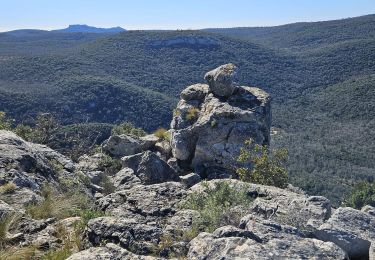 Trail Walking Belgentier - Belgentier - Pas de Belgentier - Valbelle - Le grand Puy - Photo