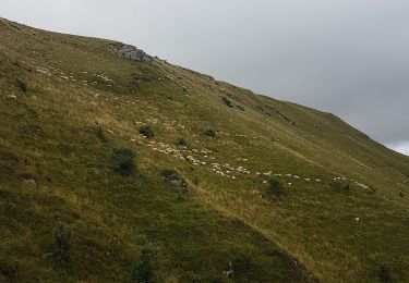 Tocht Stappen Mont-Dore - Puy de Sancy par les crêtes - Photo