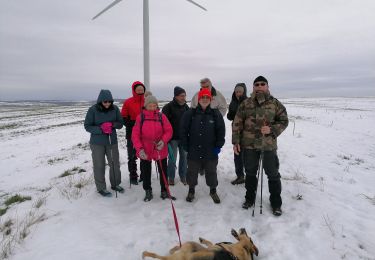 Tour Wandern Bolchen - randonnée guy - Photo