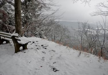 Tocht Te voet Gomadingen - Nebenweg - Jungingen - Jägersteigle - HW1 - Photo