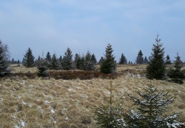 Tocht Stappen Waimes - Boucle Chapelle Fischbach - Photo