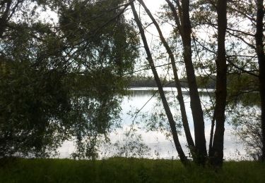 Randonnée Marche Sotteville-sous-le-Val - 20220531-Sotteville sous le Val 