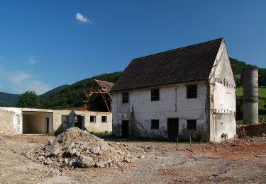 Tocht Te voet Gemeinde Weissenbach an der Triesting - Weißenbach a.d. Triesting - Wolfsgrube - Veiglkogel - Photo