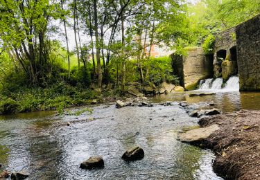 Tocht Stappen Thuin - La vallée de la Biesmelle à Thuin - Photo