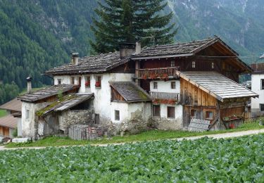 Percorso A piedi Martello - Sentiero altoatesino delle fragole - Photo