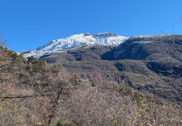 Tour Schneeschuhwandern La Croix-sur-Roudoule - Haute Mihubi  - Photo