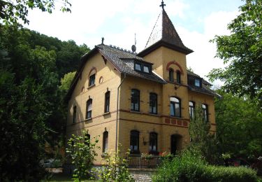 Excursión A pie Bretzenheim - Vitaltour Eremitenpfad - Photo