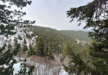 Tocht Stappen Saint-Alban-d'Hurtières - Col Clampet, Le Grand Chat, Col d'alarmant  - Photo