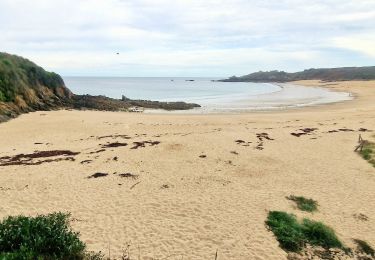 Trail Walking Cancale - Boucle Anse du Guesclin - Photo