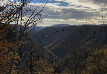 Trail Walking Prévenchères - Cévennes  - Photo