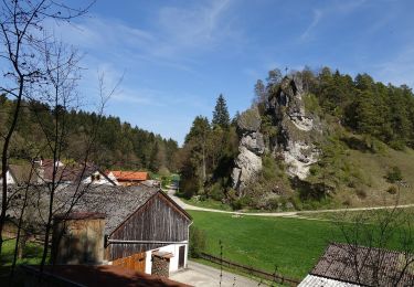 Trail On foot Breitenbrunn - Auf den Spuren der Vorgeschichte - Photo