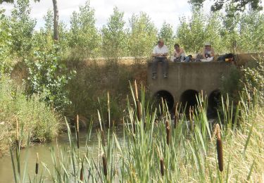 Trail Walking Calzada del Coto - CC_Frances_CF_18_Calzada-Coto_Santas-Martas_20110710 - Photo