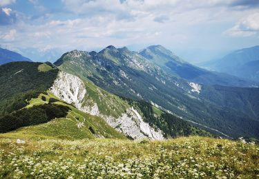 Trail On foot Resia - (SI A12) Sella Carnizza - Montemaggiore di Taipana - Photo