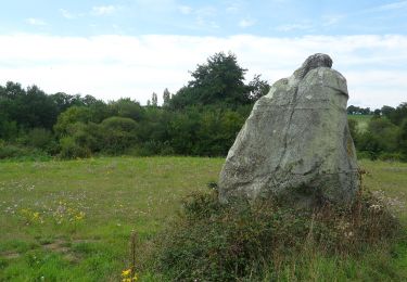 Tour Zu Fuß Cholet - La Ribou'cle - Photo