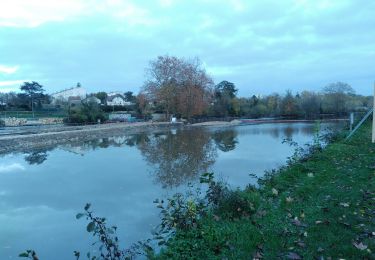 Randonnée Vélo électrique Jussy - Cravant Auxerre  - Photo