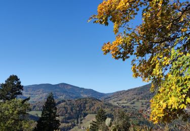 Tocht Mountainbike Fréland - st Alexis - Photo