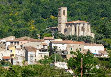 Trail Walking Le Bousquet-d'Orb - Bousquet d'Orb - Lunas - Joncels - Photo