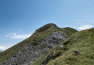 Randonnée A pied Ventasso - Cerreto dell'Alpi - Capiola - Costa della Brancia - Monte Casarola - Photo