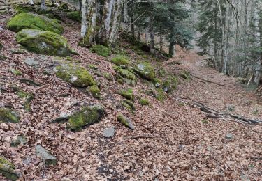 Trail Walking Orlu - Jasse de Parau - Photo