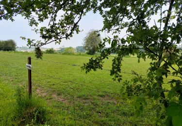 Tocht Stappen Couvin - AUBLAIN.  dép place  - Photo