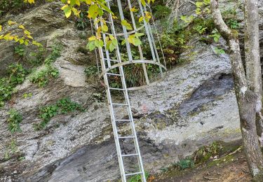 Tocht Stappen Bouillon - Rochehaut 051024 - Photo