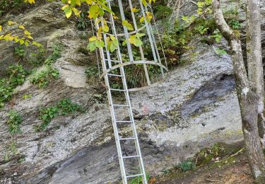 Tour Wandern Bouillon - Rochehaut 051024 - Photo