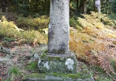 Tocht Stappen Remiremont - Remiremont - baraque des gardes - étang du Villerain - cascade du Géhart - étangs et prieuré d'Hérival  - Photo