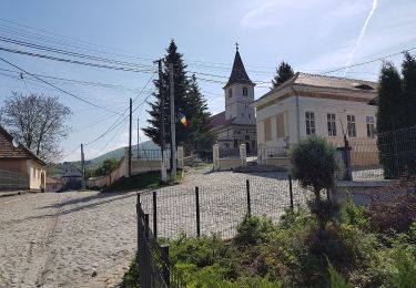 Trail On foot Unknown - Turnu Roșu - Dl. Frasinul - Culmea Pietriceaua (traseul CR) - Photo