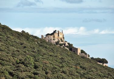 Randonnée Marche Cazevieille - le pic Saint Loup / chateau Montferrand par les crêtes  - Photo