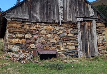 Trail Walking Artigue - Artigue  Cabane du Plan de Bosc en boucle - Photo