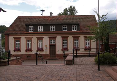 Tour Zu Fuß Erfweiler - Rundwanderweg Erfweiler 64 - Photo