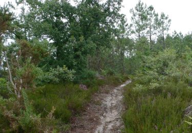 Tocht Mountainbike Rion-des-Landes - 8977182-Vtt R&B Goua du port Garricq Carcen Garricq Retour - Photo