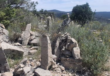 Tour Wandern Saint-Jean-du-Gard - 17-05-2023 E12 Saint Jean du Gard - Ales  - Photo